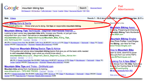 Out of date screenshot of Google search results highlighting where paid advertisements live