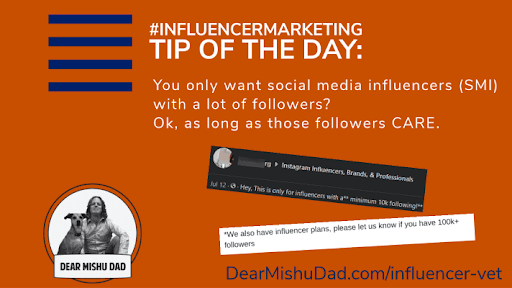 Graphic reading "#influencermarketing Tip of the Day: You only want social media influencers (SMI) with a lot of followers? Ok, as long as those followers CARE." With screenshots of DMs with influencers, one of which says "We also have influencer plans, please let us know if you have 100k+ followers." URL: DearMishuDad.com/influencer-vet and Dear Mishu Dad logo.