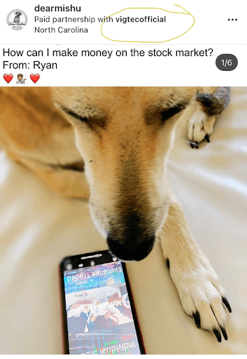 Picture of a dog looking at smartphone from @DearMishu Instagram account and captioned "How can I make money on the stock market?" Identified in screenshot as a paid partnership with @vigtecofficial North Carolina.